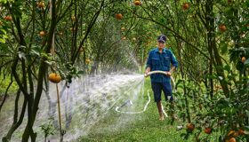 Capture the authentic charm of Vietnam’s cultural scene